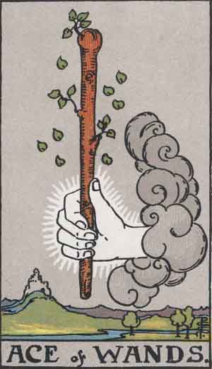 Ace of Wands tarot card